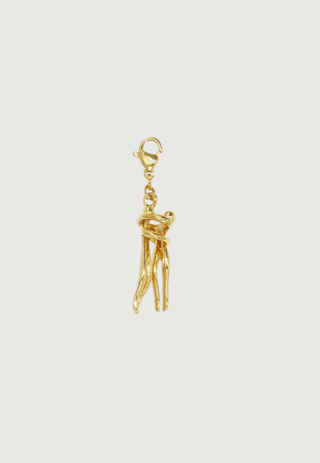 Two Souls Charm