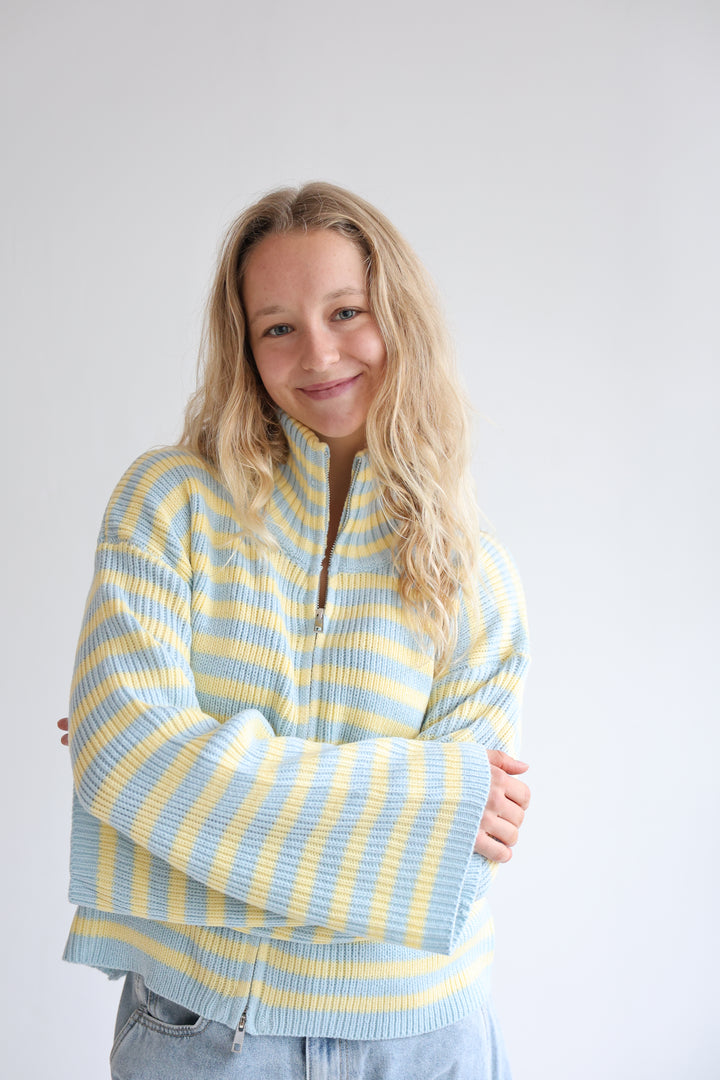 Zip Cardigan Wide Stripes