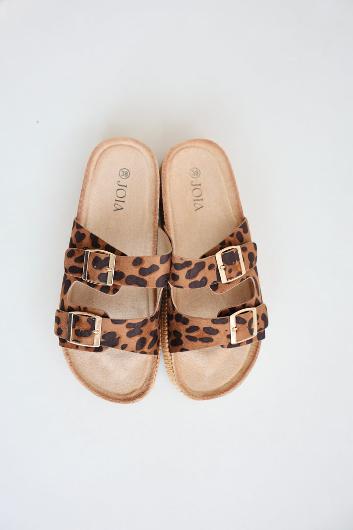 Platform Slides Alexa