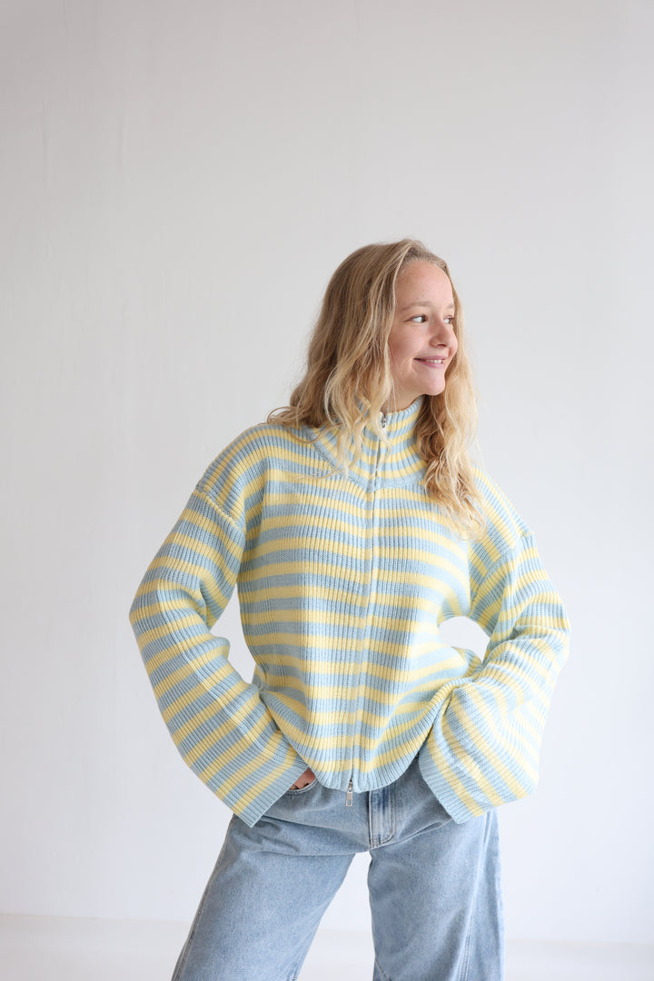 Zip Cardigan Wide Stripes