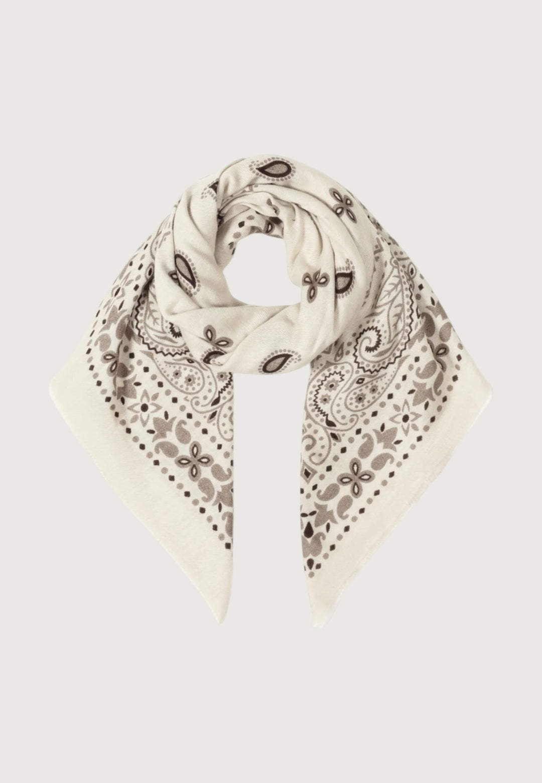 Vintage Paisley Scarf