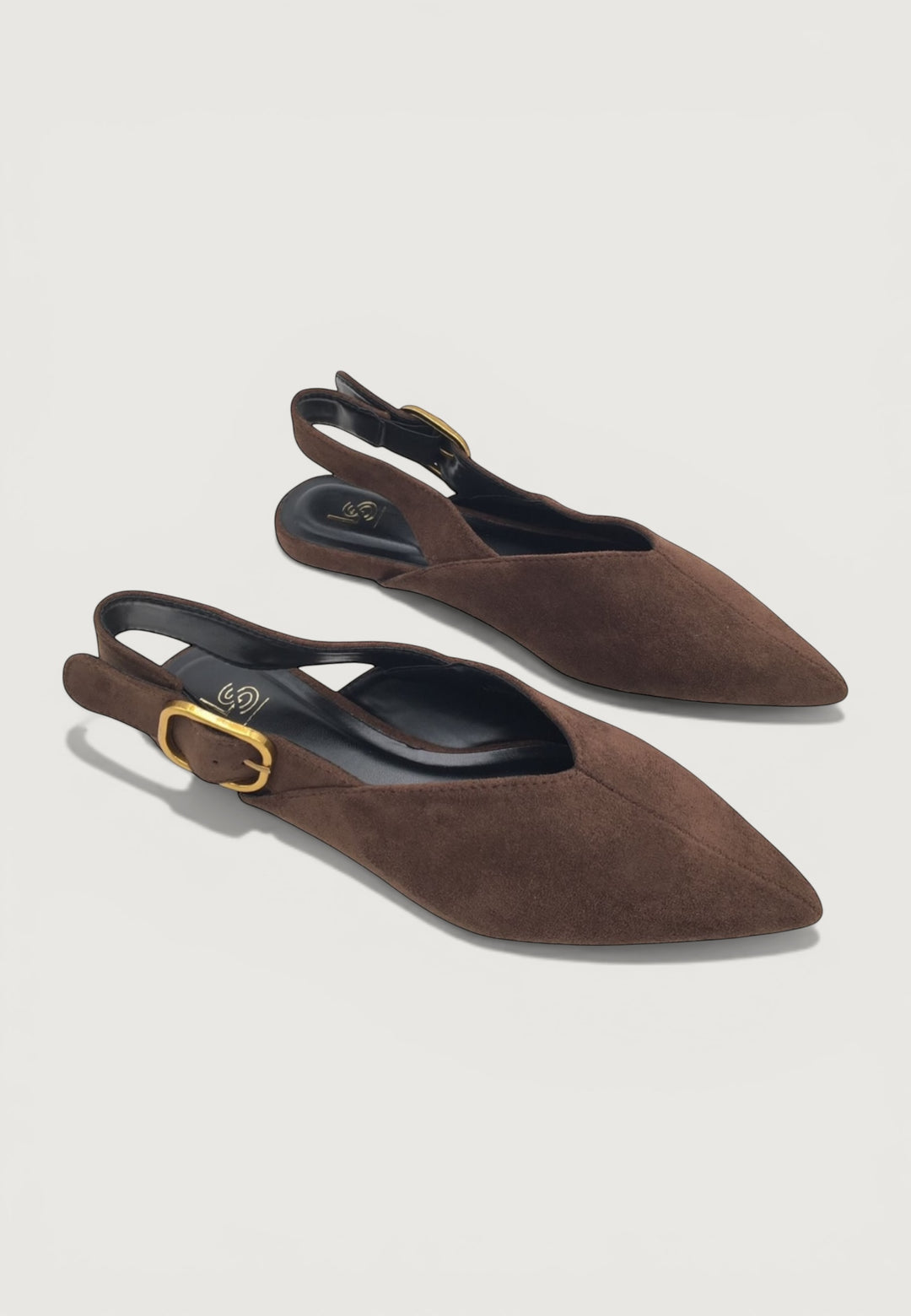 Pointed Slingback Flats