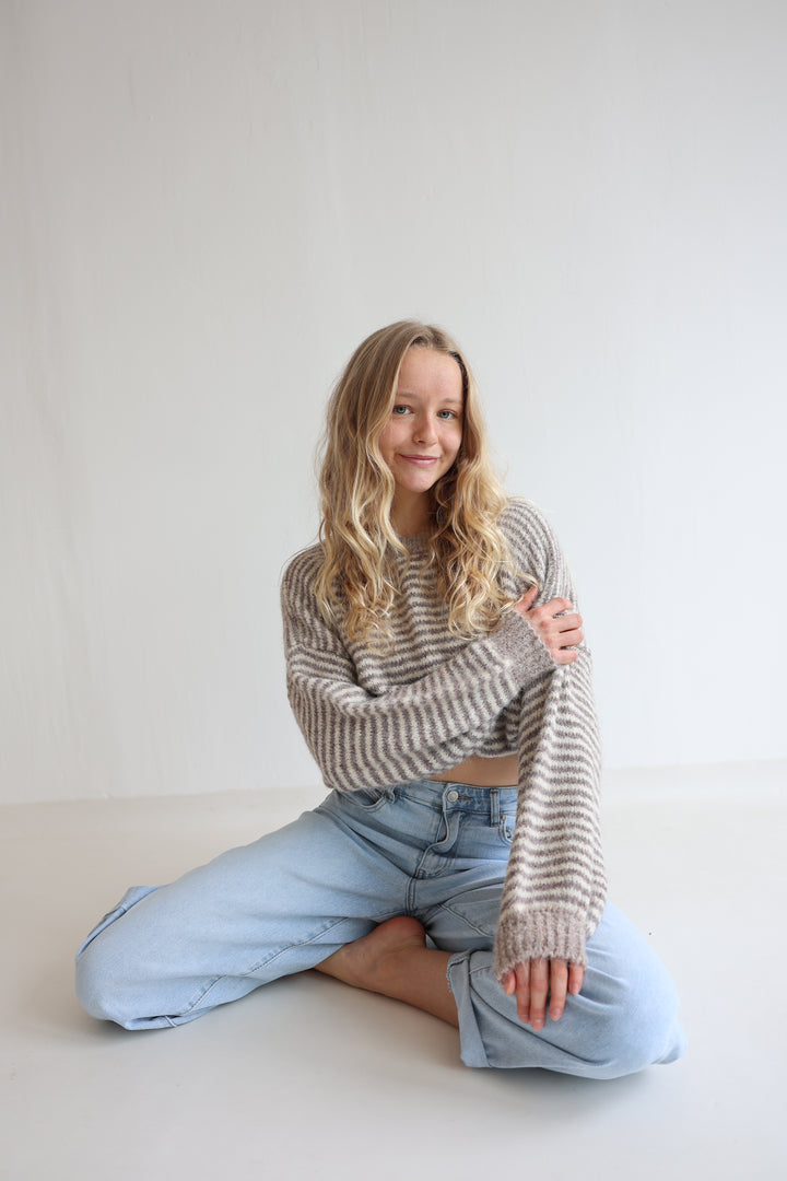 Gestreifter Pullover Moodline Knit