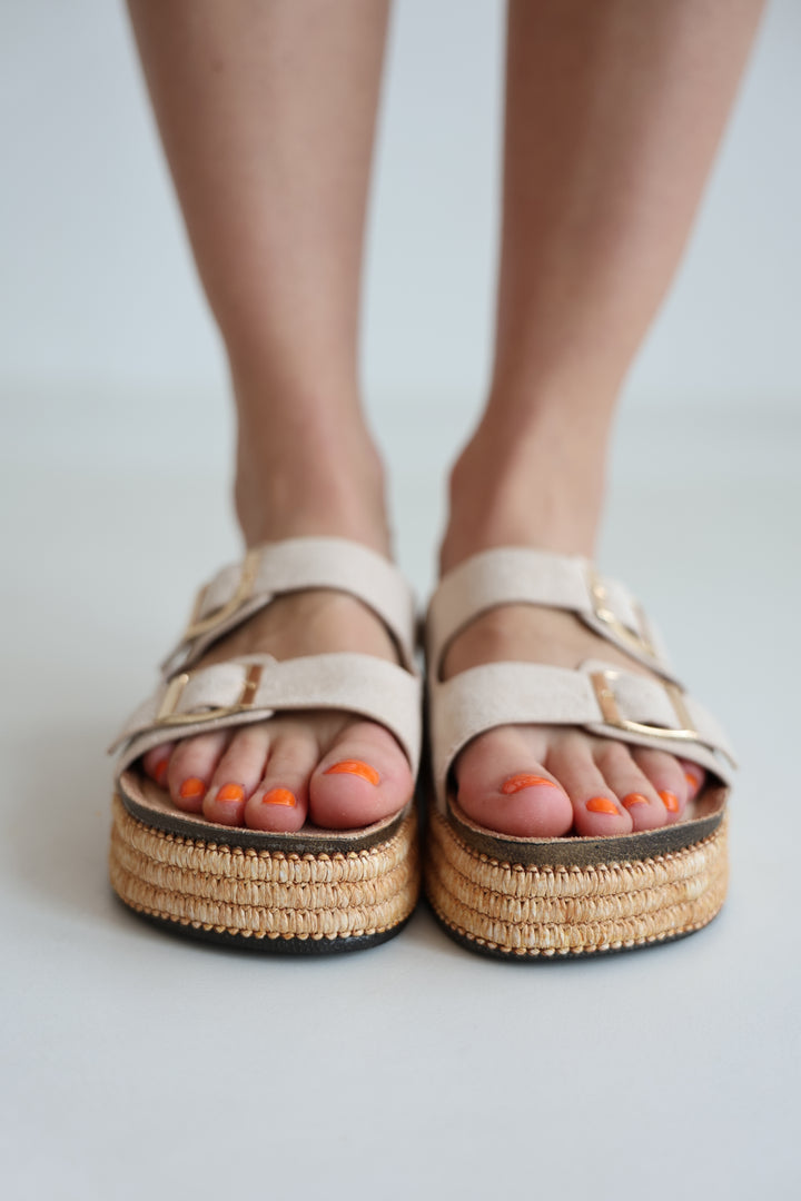 Platform Slides Alexa