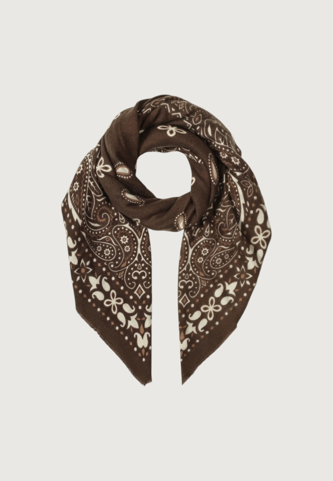 Vintage Paisley Scarf