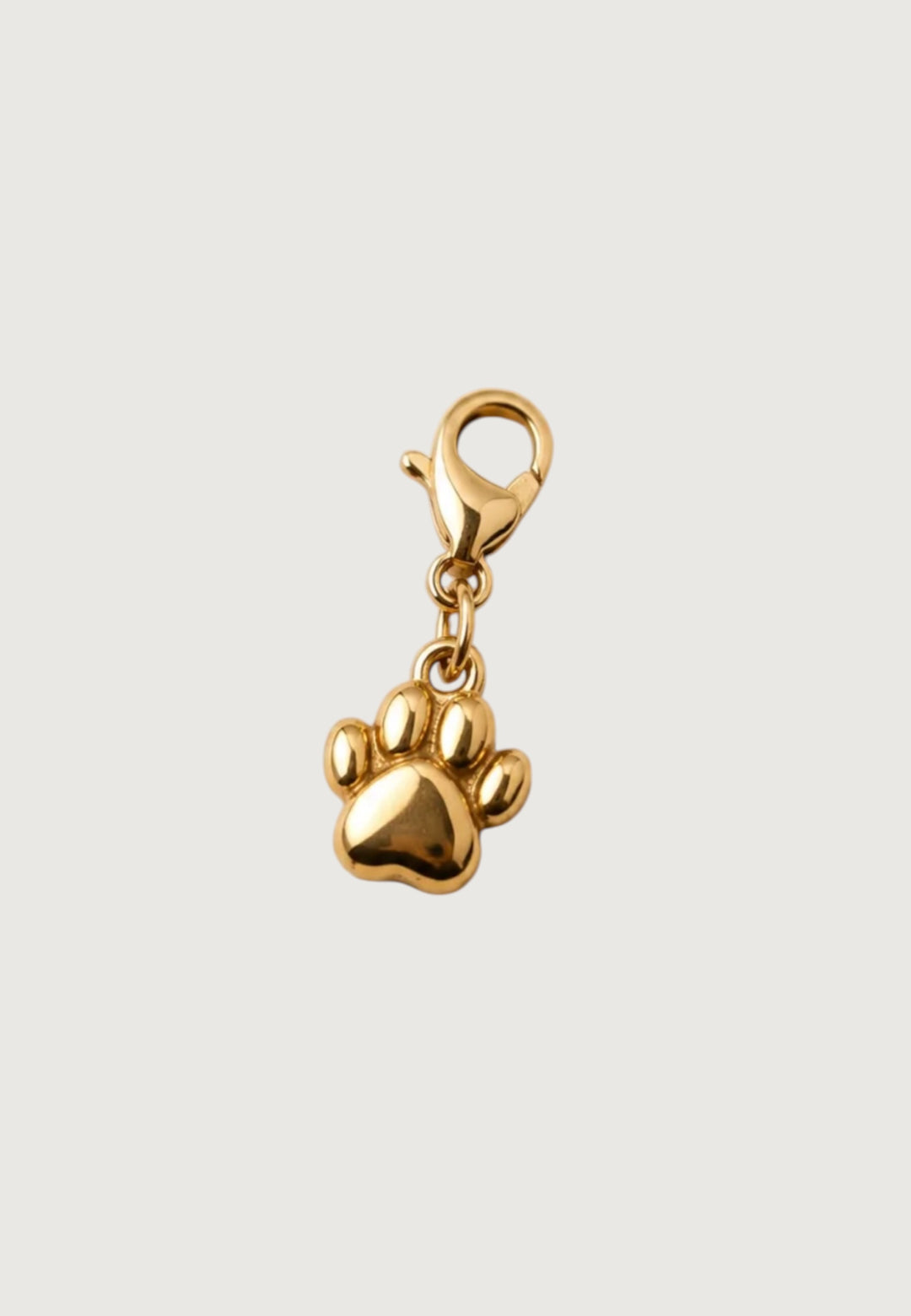 Golden Pawprint Charm