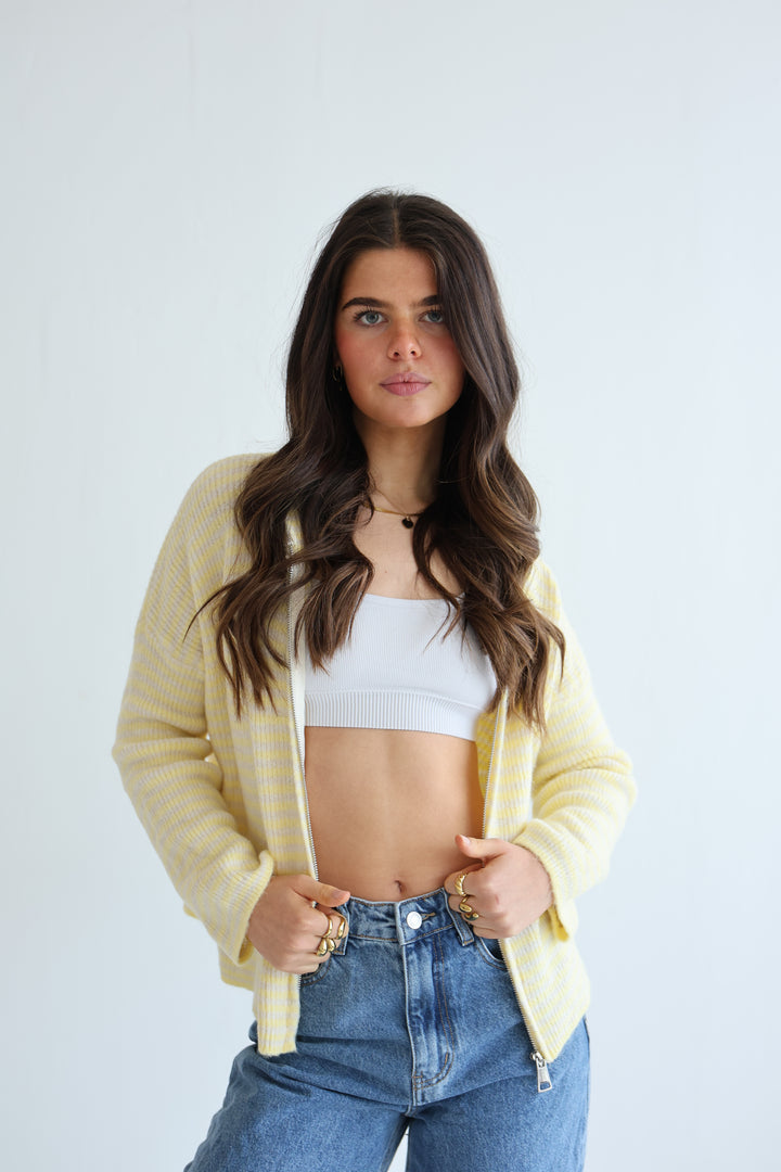 Zip Cardigan Fine Stripes