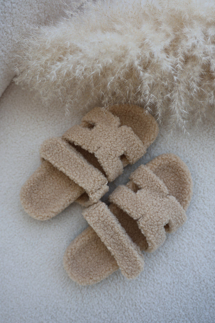 Teddy Pantolette